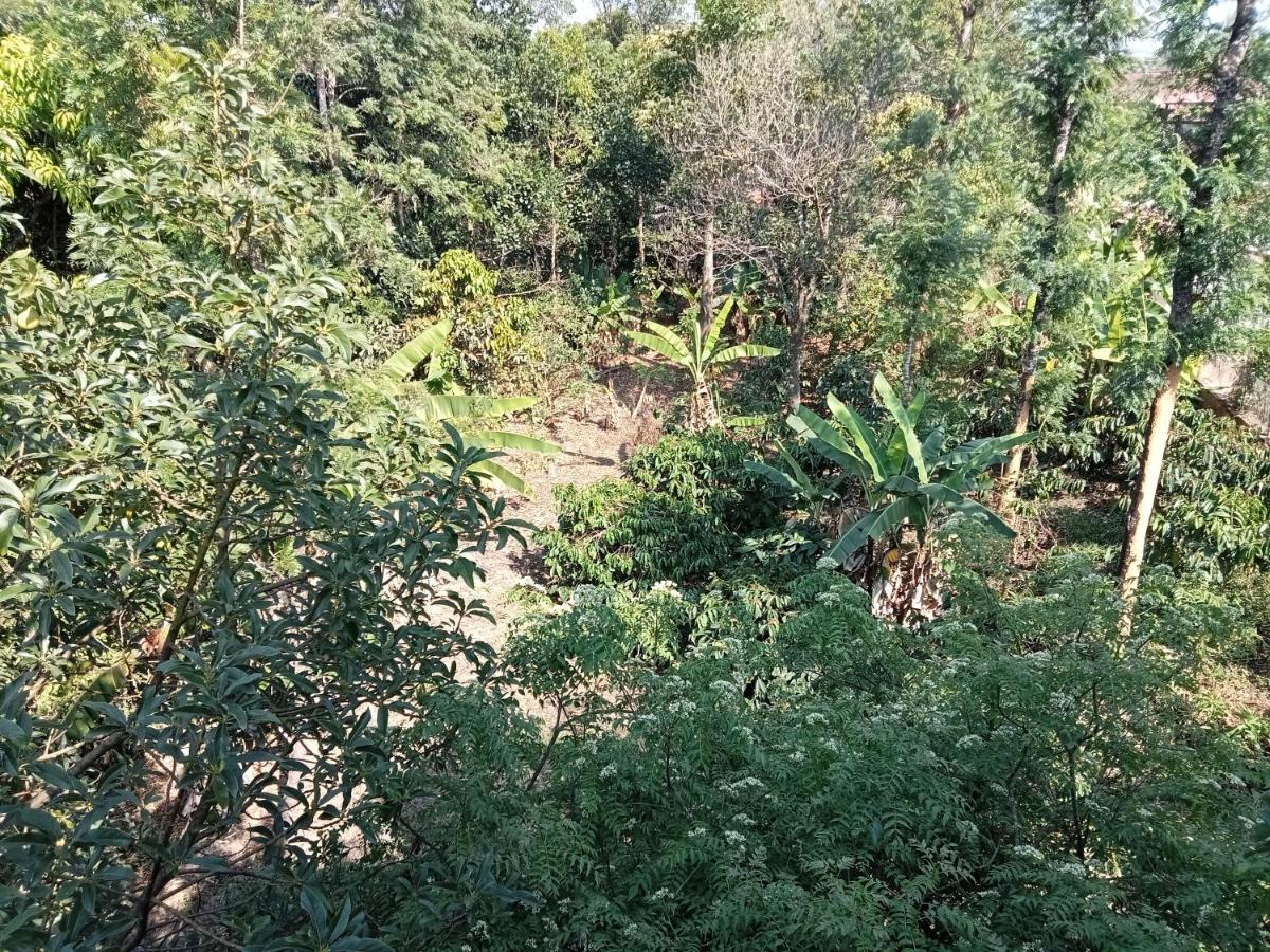 Krupa Homestay Madikeri Luaran gambar